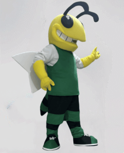 Bee & Insect Mascots