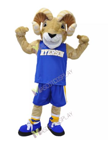 Sport Team Ram Ryerson Mascot Costumes Cheerleaders Animal Costume