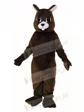 Brown Squirrel Mascot Costumes  