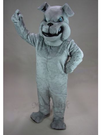 New Grey Bulldog Mascot Costume