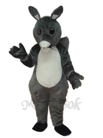 Long Tail Squirrel Mascot Adult Costume