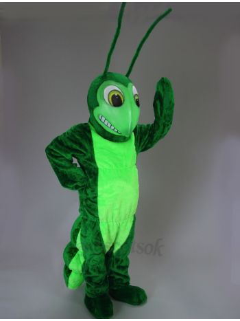 New Grasshopper Costume Mascot