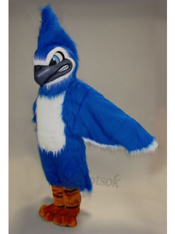 New Fierce Blue Jay Mascot Costume
