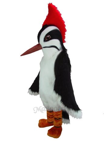 New Woodpecker Costume Mascot