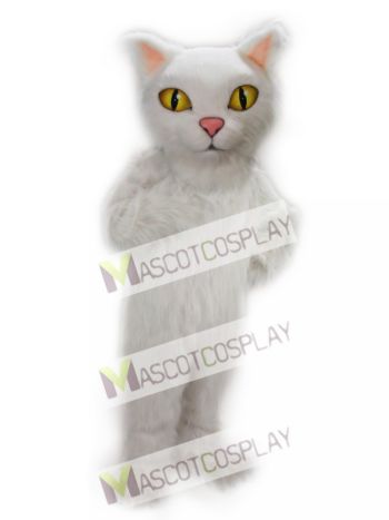 New Persian Cat Mascot Costume
