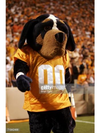 New Tennessee Volunteer Dog Mascot Costume