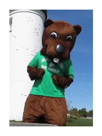 Barney Beaver Mascot Costumes