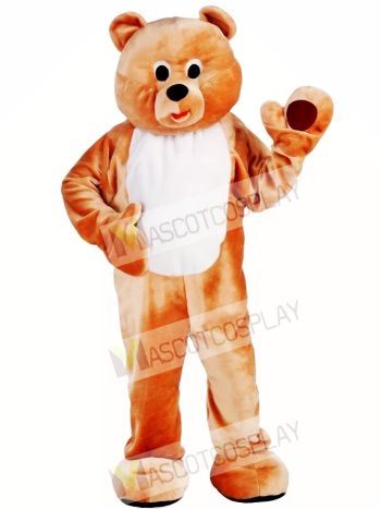 Mens Honey Bear Mascot Costume