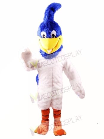 Roadrunner Mascot Costume