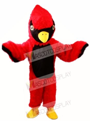 Red Cardinal Mascot Costume