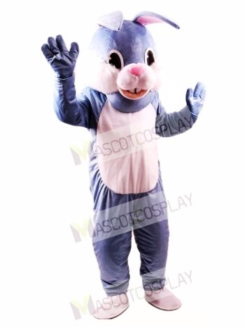 Blue Easter Bunny Mascot Costume