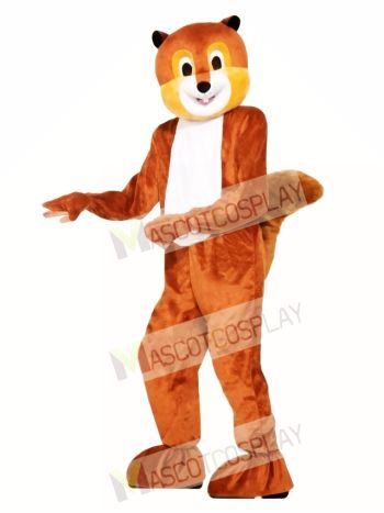 Scamper the Squirrel Mascot Costume