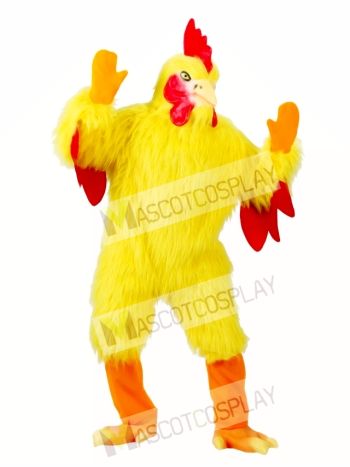 Funny Chicken Adult Mascot Costume