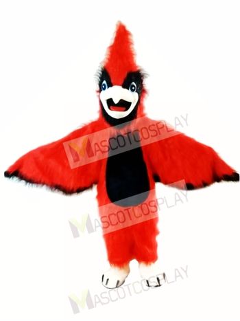 New Big Red Cardinal Mascot Costume