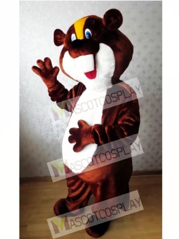 Beaver Mascot Costume  