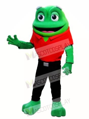 Cute Frog Animal Mascot Costume