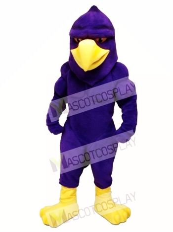 Power Hawk Mascot Costume