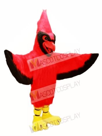 All Red Cardinal Mascot Costume