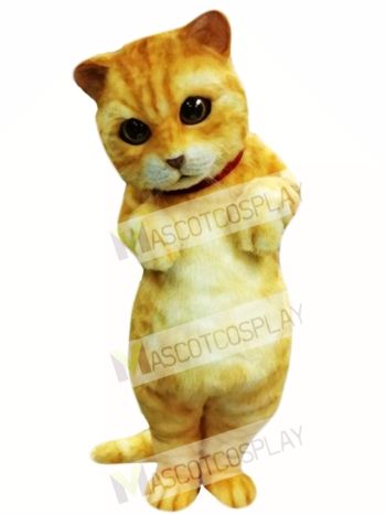 Cute Animal Cat Mascot Costume