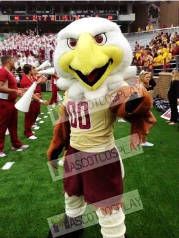 College Eagles Mascot Costume