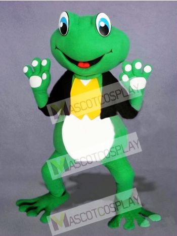 Cute Frog Mascot Costume  