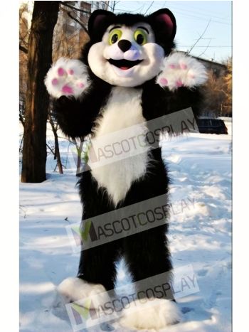 Cute Cat Mascot Costume
