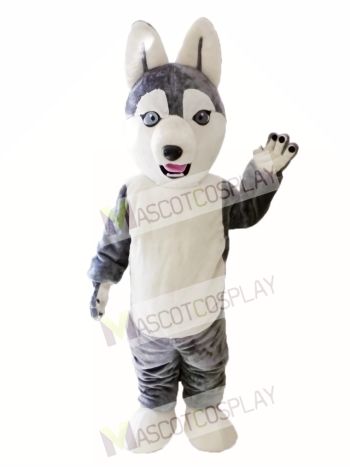 Animal Dog Siberian Husky Mascot Costume for Adult