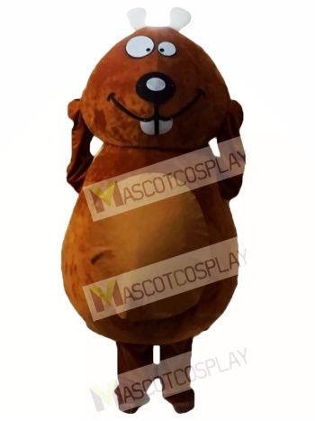 Brown Beaver Mascot Costumes 