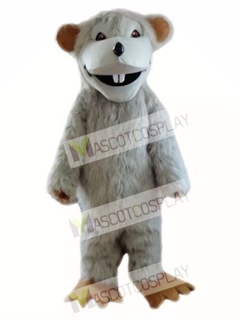 Gray Mouse Mascot Costumes  