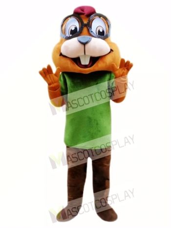 Chipmunk Mascot Costume Custom Fancy Costume