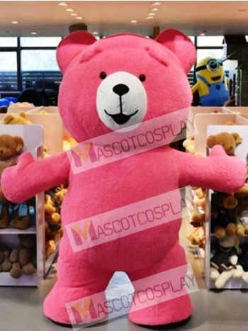 Cute Red Teddy Bear Mascot Costume Animal Costume