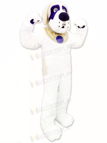 Lovely St. Bernard Dog Mascot Costume
