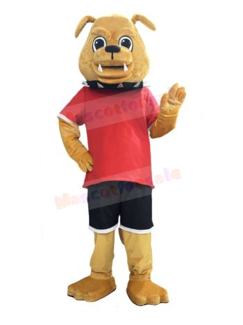 Bulldog Dog mascot costume