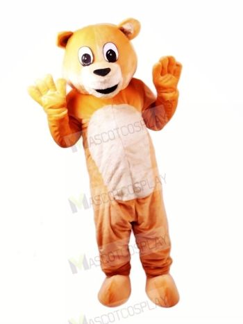 Honey Bear Mascot Costumes Cartoon