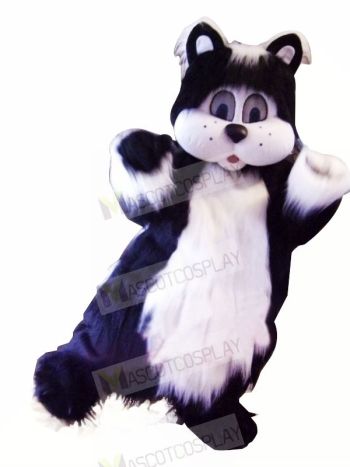 Black and White Cat with Big Eyes Mascot Costumes Animal