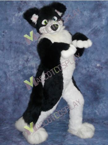 Border Collie Husky Dog Mascot Costume 