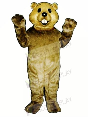 Cute Groundhog Mascot Costumes 