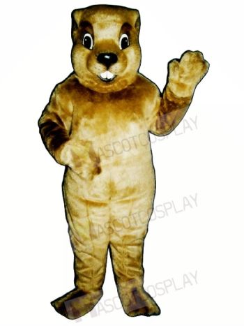 Groundhog Mascot Costumes 