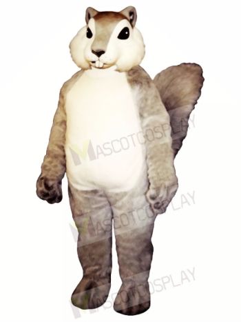 Grey Squirrel Mascot Costumes