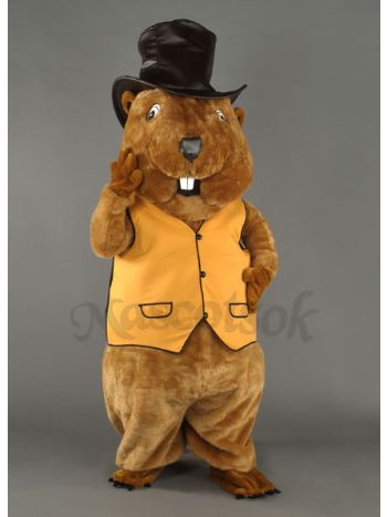 New Mr. Beaver Mascot Costume