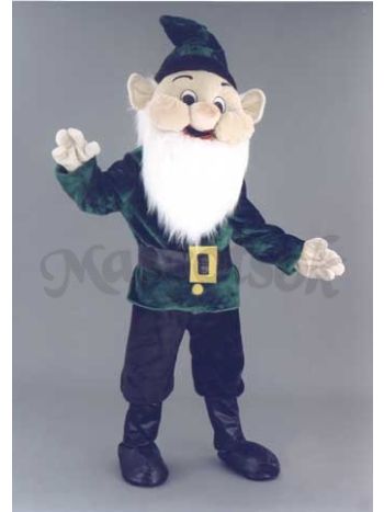 New Elf Costume Mascot