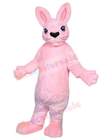 Bunny Rabbit mascot costume