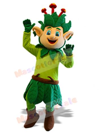 Elf mascot costume