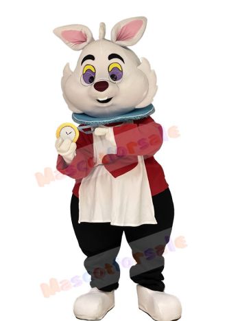Rabbit mascot costume