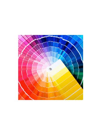 Custom Color Option for Your Mascot Costume