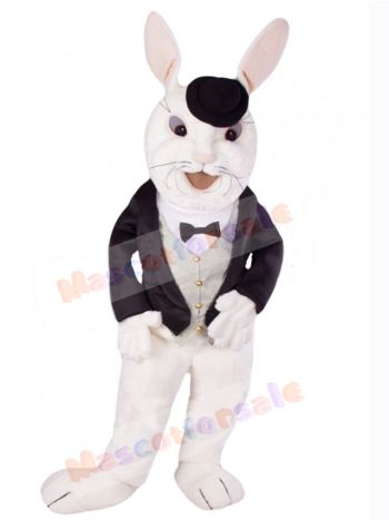 Easter Bunny Rabbit mascot costume