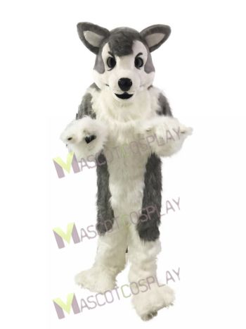 Gray Wolf Husky Dog Mascot Costume 