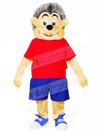 Hedgehog Mascot Costumes Animal