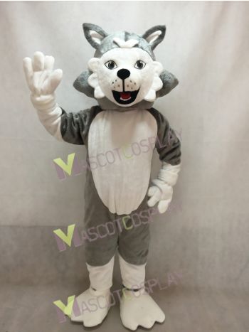 Adorable Wolf Dog Mascot Costume