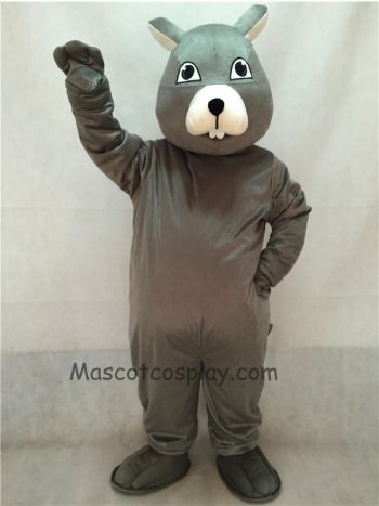 Gray Squirrel Mascot Costume